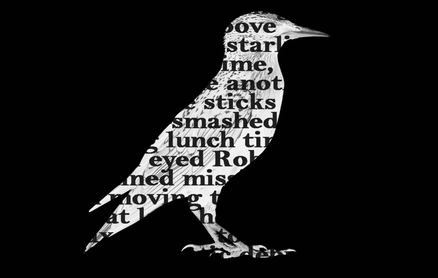 The Sunday Morning Poet: Jay Lewis Jay Lewis' The Starling alights on the Sunday Morning Poetry Perch