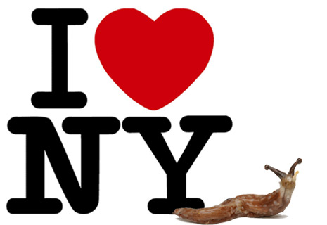 I Heart NY if you always hate the one you love you also always hate the one you hate