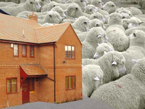 A Wild Sheep Chase Time for the London Architecture Biennale